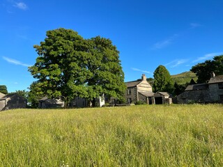 View over wild grassland, with a large tree, stone cottages and a blue sky, on a late afternoon in, Arncliffe, UK