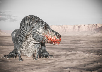 tyrannosaurus is lying down and resting on sunset desert with copy space