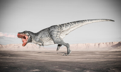tyrannosaurus is running and ready to bite on sunset desert side view