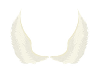 angel wings white background