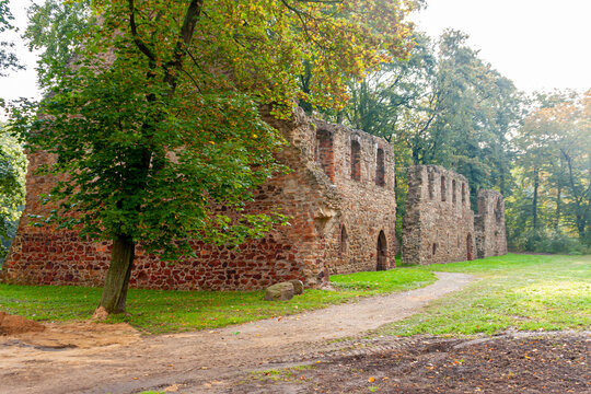 The ruins of the monastery church in Nimbschen, a former Cistercian abbey near Grimma in the Saxon district of Leipzig on the Mulde River in Germany. important monument of the Reformation.