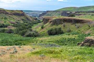 Naklejka premium Canyon along the Cottonwood Creek, WA
