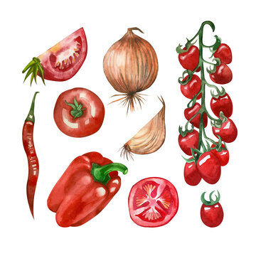A set of colorful bright vegetables painted with watercolor: cherry tomatoes, hot chili, onions, tomatoes, sweet paprika on a white background.