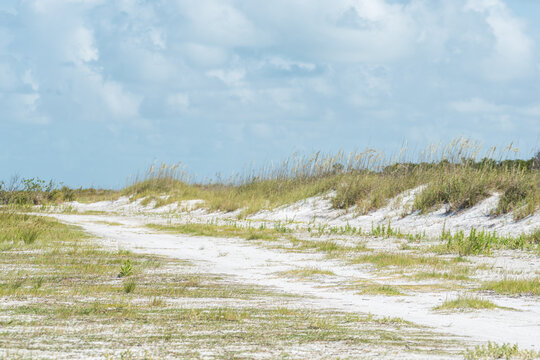 Walking along the sand dunes