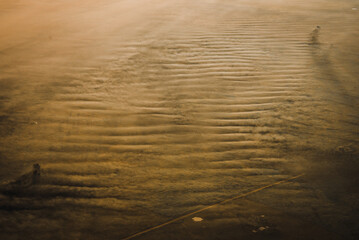 nascer do sol na amazonia