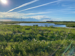Summer in Bethel, Alaska