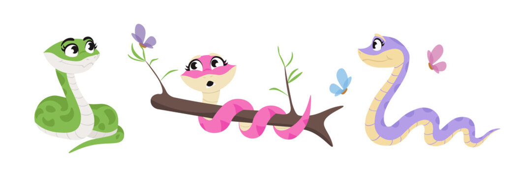 Vector illustration of cute and beautiful snakes on white background. Charming characters in different poses twisted and lie down, wrapped around a branch, crawling in cartoon style.