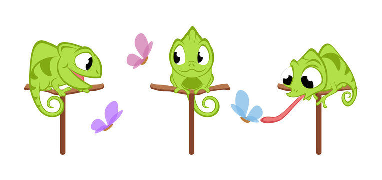 Vector illustration of cute and beautiful green chameleons on white background. Charming characters in different poses sit contentedly on a stick, look at butterflies, hunts in cartoon style.
