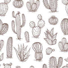 Sketch cactus seamless pattern. Black agave and cacti on pink background, mexico dessert plants hand drawn print, neoteric succulent vector texture