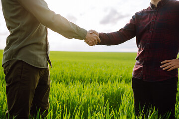 Two farmers making agreement with handshake in green wheat field. Agricultural business.