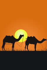 Fototapeta na wymiar camel in desert
