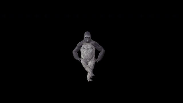 Gorilla 4K Cotton Eye Dance animation.3840×2160.15 Second Long.Transparent Alpha
