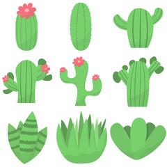 Set of cute cactus or succulent, vector illustration in flat style
