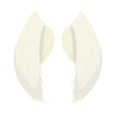 pair angel wings