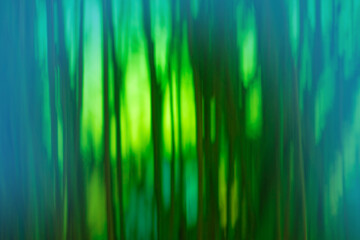 Mystical motion bokeh forest in autumn and magical light