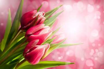 Obraz premium bouquet of tulips