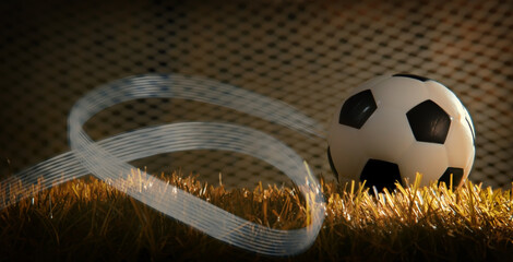 Soccer ball on the grass of the soccer field