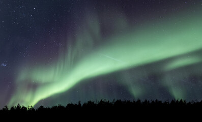 stunning photo of colorful aurora borealis (northern lights) over trees, finnish lapland night sky 