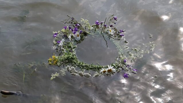 A wreath of summer flowers was thrown into the river and it floats on the water. The concept of the holiday of Ivan Kupala. Girls fuse wreaths of flowers and make wishes.