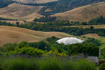 toscana