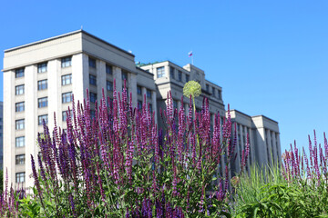 Defocused view through the flowers to facade of State Duma in Moscow, Russian parliament building  in summer