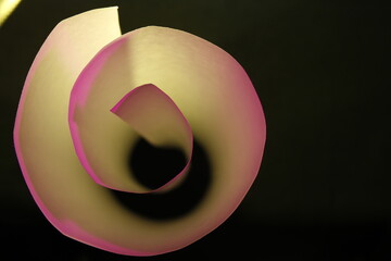 Espiral de papel de oficina para impresora forma cìrculos concèntricos en embudo, con luz rosa muestra un diseño suave abstracto con fondo negro - obrazy, fototapety, plakaty