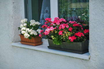 A box with geranium flowers on an outdoor windowsill near the house.