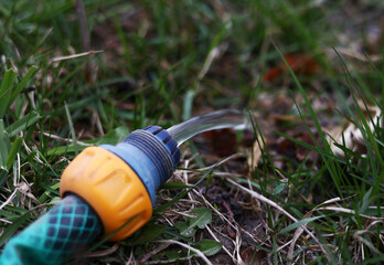 Watering the backyard using garden hose. Flow of water going out freely from pipe on the soil with...