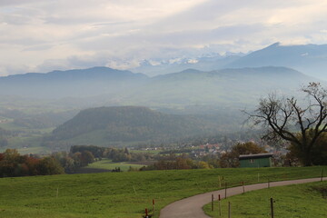 Greenfields and mountains, Beautiful brown hourse, Broder am Albis, hills in the Canton of Zürich, Switzerland