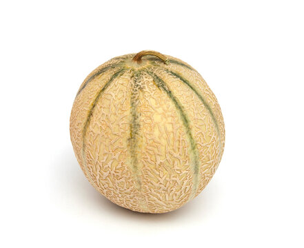 Rock cantaloup melon
