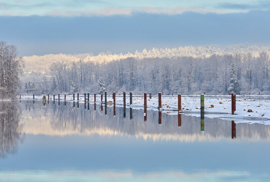 Fraser River Winter Fresh Snow. Fresh snow on a logboom on the Fraser River. Vancouver, British Columbia, Canada.

