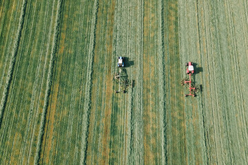 Tractors mowing a green grass for forage harves. Aerial view