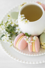Traditional delicious French dessert - sweet homemade macarons on a vintage plate. Colourful tasty macaroons served on a white china with herbal tea. Decorated with fragile cherry tree flowers.