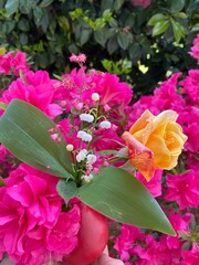 bouquet of pink roses