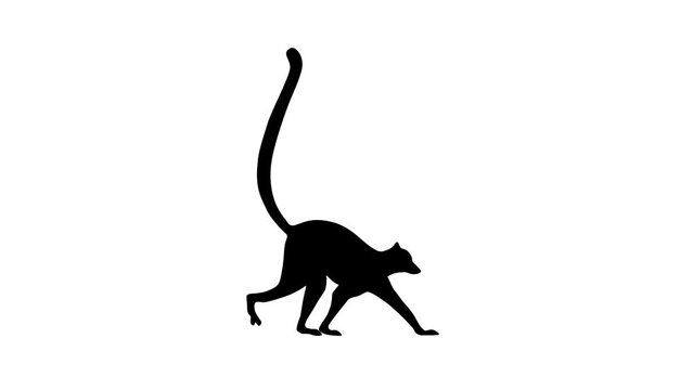 Walking lemur, animation on the white background (seamless loop)