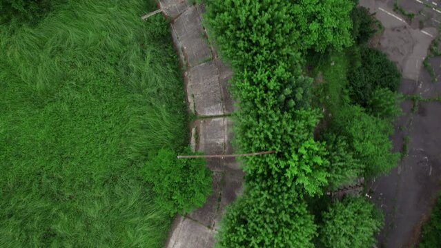 Drone aerial footage of the abandoned stadium in the trees and greens, 4k