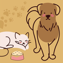 dog and cat
