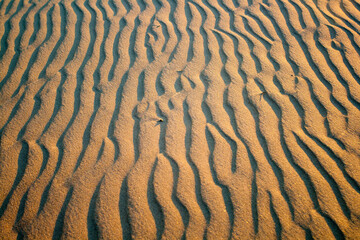 Sunset at Silver Lake State Park, Michigan in summer