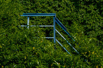 garden, bridge, wooden, wood, tree, nature, forest, park, grass, steps, summer, old, stairs, path, ladder, stairway, plant, walkway, outdoor, landscape, trees, spring