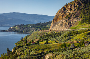 Summer Winery view of Kelowna vineyards surrounding Lake Okanagan with mountains. Sunrise in Kelowna
