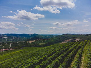 Langhe hills with vineyards around La Morra