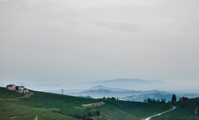 Langhe hills around La Morra, Piedmont - Italy