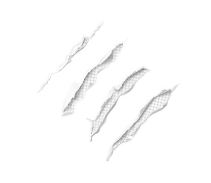 Set of realistic scratch claws isolated on white background. Vector illustration element ready for your design. EPS10.