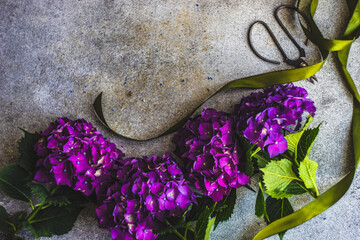 Fresh purple hydrangea flowers in frame