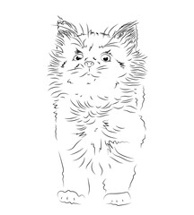Handmade drawing of a cute kitten. Vector black and white graphics. Stylized sketch of realistic animals. Cat doodles in an abstract hand-drawn style. A kitten isolated on a white background.