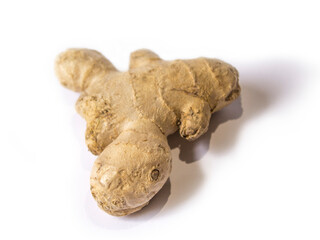 ginger root on a white background