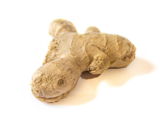 ginger root on a white background