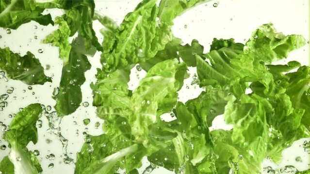 Lettuce leaves with splashes of water fly up and rotate in flight. On a white background. Filmed on a high-speed camera at 1000 fps.