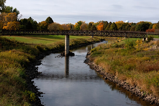 Fall In Rochester, MN