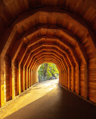 Wood tunnel in the park 